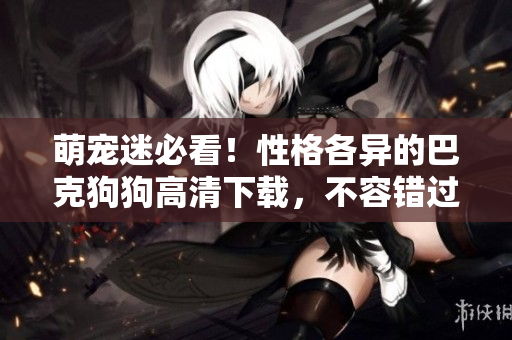 萌宠迷必看！性格各异的巴克狗狗高清下载，不容错过！