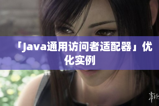 「Java通用访问者适配器」优化实例