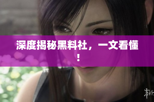 深度揭秘黑料社，一文看懂！