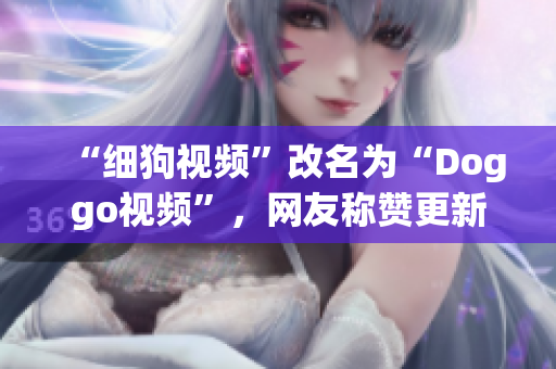 “细狗视频”改名为“Doggo视频”，网友称赞更新后的UI设计
