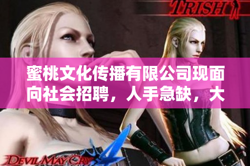 蜜桃文化传播有限公司现面向社会招聘，人手急缺，大量招聘中！