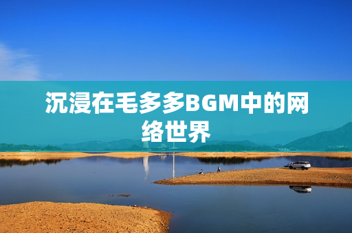 沉浸在毛多多BGM中的网络世界