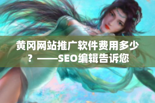 黄冈网站推广软件费用多少？——SEO编辑告诉您