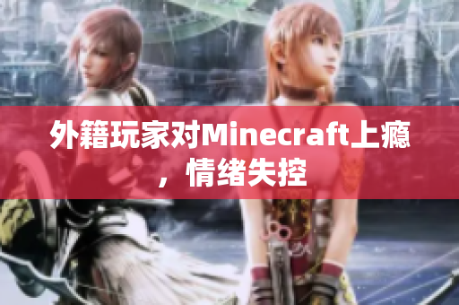外籍玩家对Minecraft上瘾，情绪失控