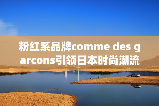 粉红系品牌comme des garcons引领日本时尚潮流