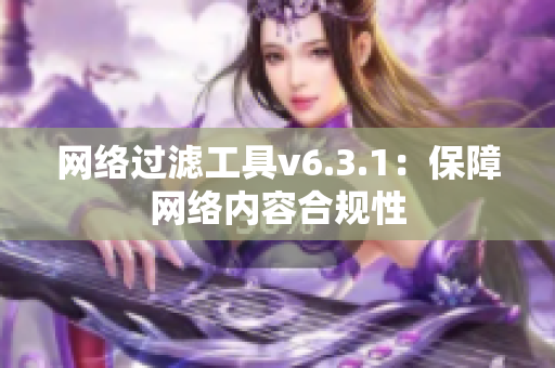网络过滤工具v6.3.1：保障网络内容合规性