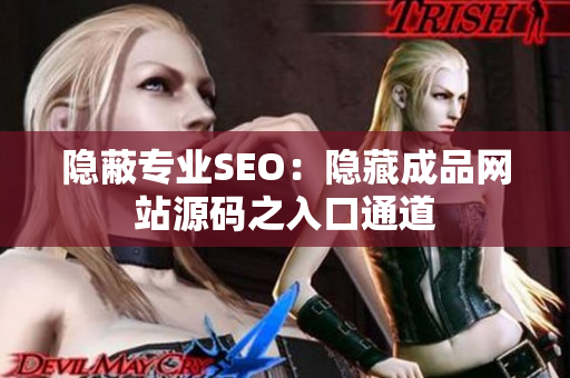 隐蔽专业SEO：隐藏成品网站源码之入口通道