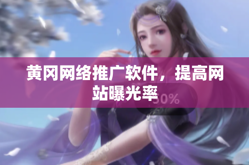 黄冈网络推广软件，提高网站曝光率