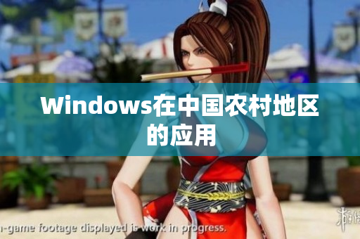 Windows在中国农村地区的应用