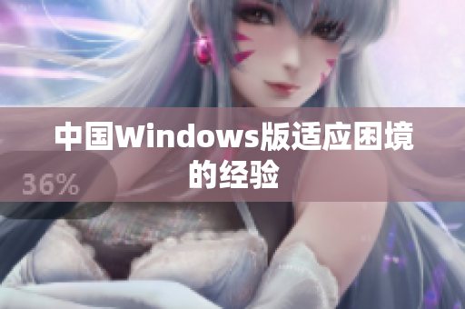 中国Windows版适应困境的经验