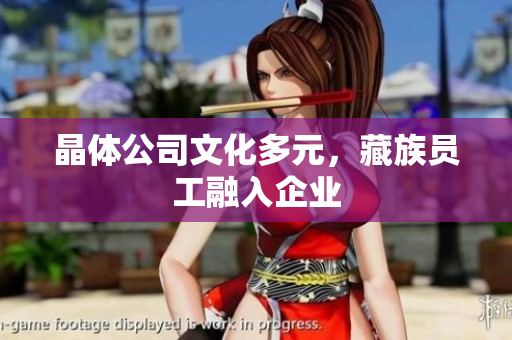 晶体公司文化多元，藏族员工融入企业