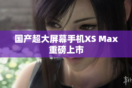 国产超大屏幕手机XS Max重磅上市