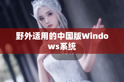 野外适用的中国版Windows系统