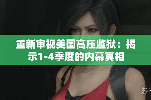 重新审视美国高压监狱：揭示1-4季度的内幕真相