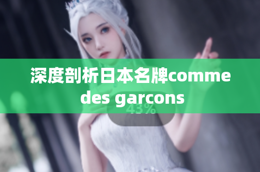 深度剖析日本名牌comme des garcons