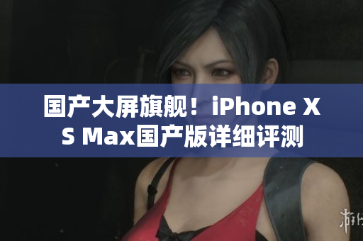 国产大屏旗舰！iPhone XS Max国产版详细评测