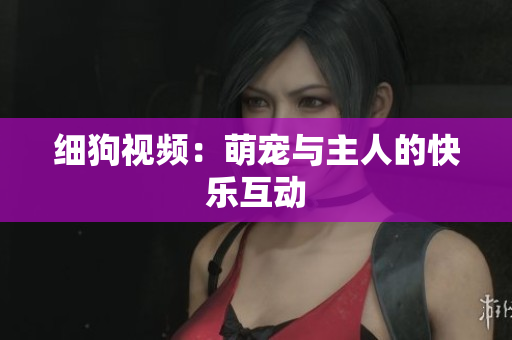 细狗视频：萌宠与主人的快乐互动