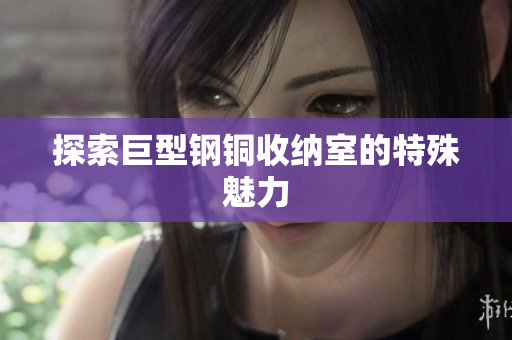 探索巨型钢铜收纳室的特殊魅力