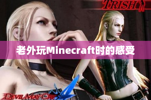 老外玩Minecraft时的感受