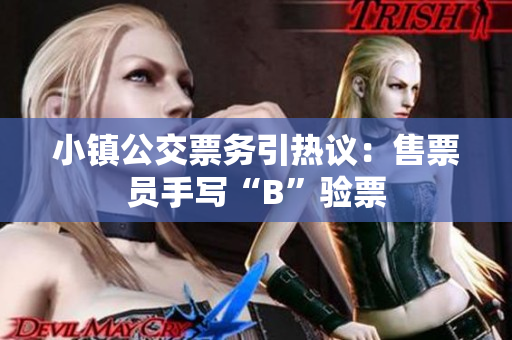 小镇公交票务引热议：售票员手写“B”验票