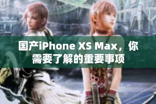 国产iPhone XS Max，你需要了解的重要事项