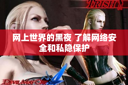 网上世界的黑夜 了解网络安全和私隐保护