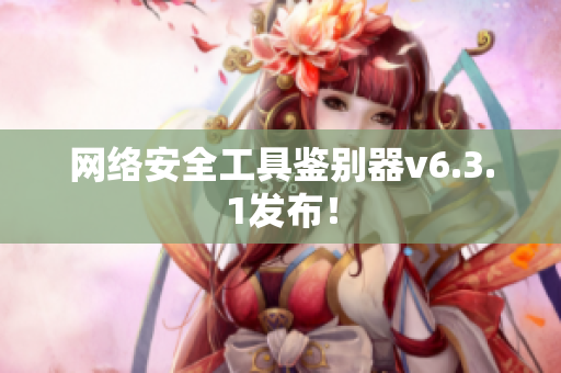 网络安全工具鉴别器v6.3.1发布！