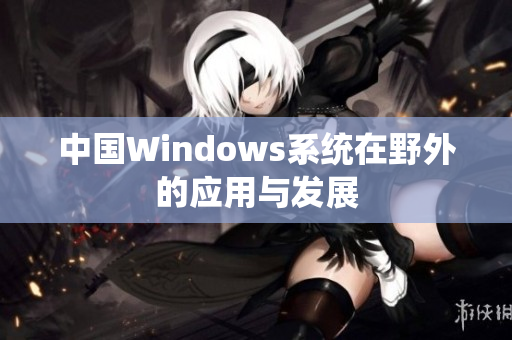 中国Windows系统在野外的应用与发展