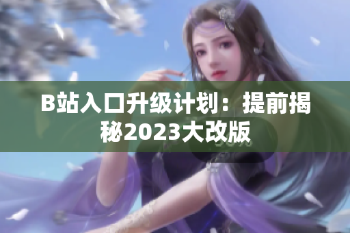 B站入口升级计划：提前揭秘2023大改版