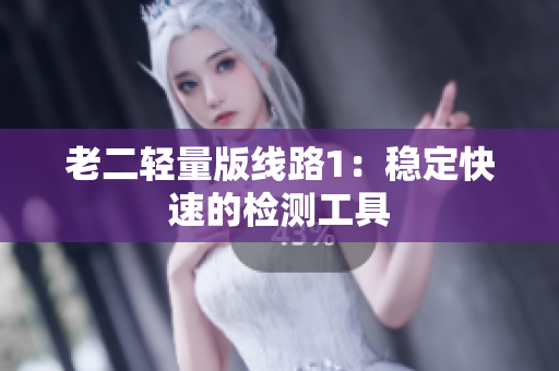 老二轻量版线路1：稳定快速的检测工具